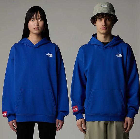 THE NORTH FACE NF0A89G1CZ61