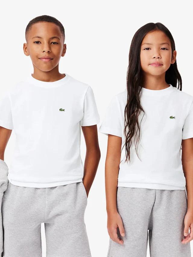 Lcb Core Tee 847025 W8L LACOSTE 