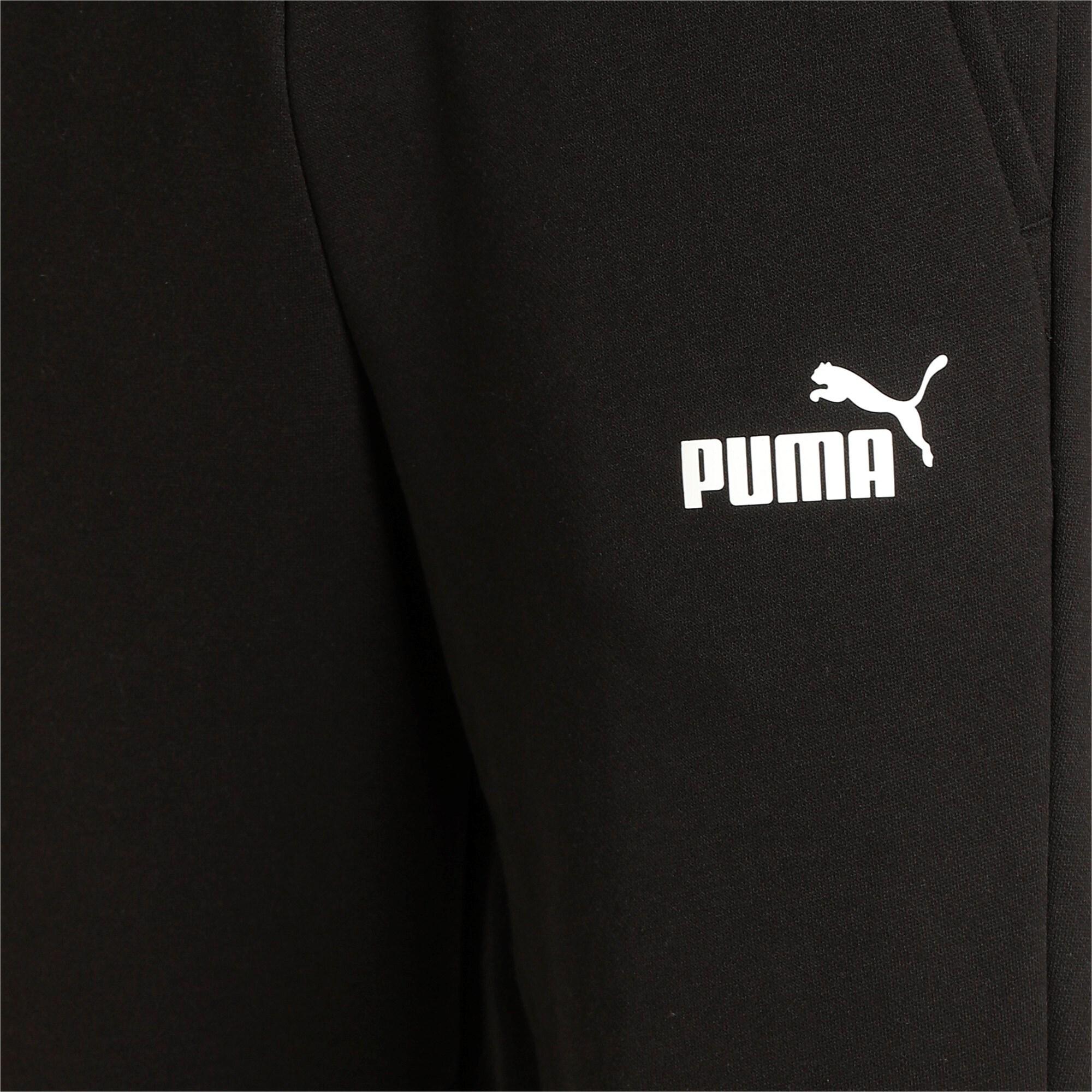 ESS Logo 586714 01 PUMA 