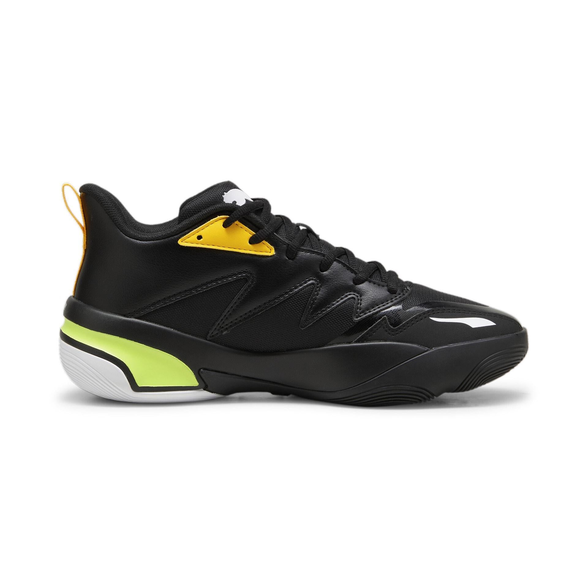 Genetics 379905 01 PUMA 