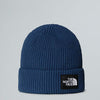 Salty Lined Beanie