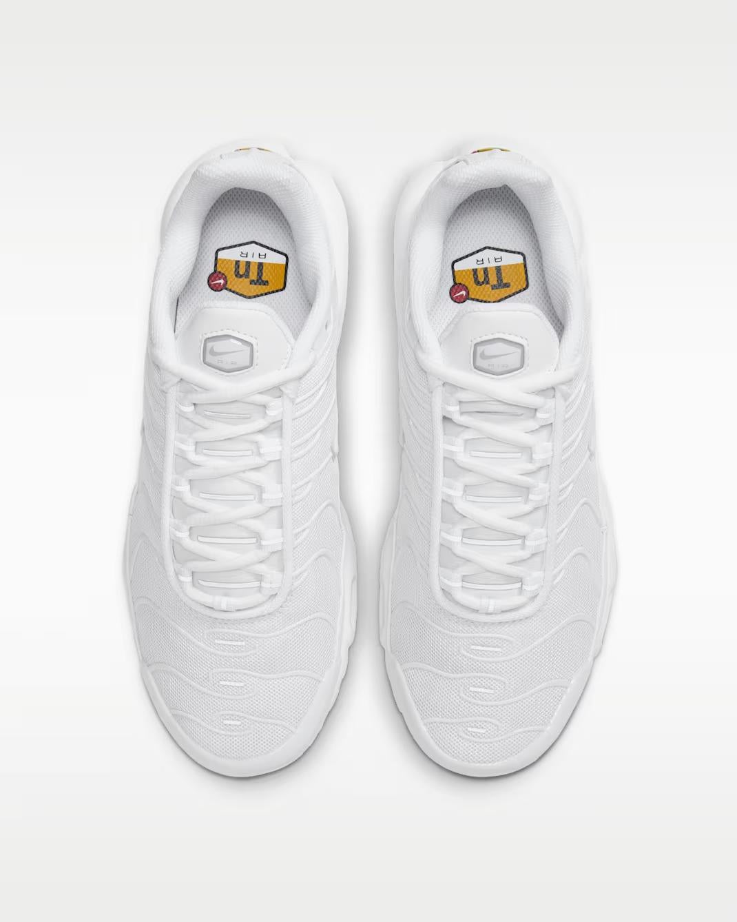 Nike Air Max Plus DM2362 100 NIKE 