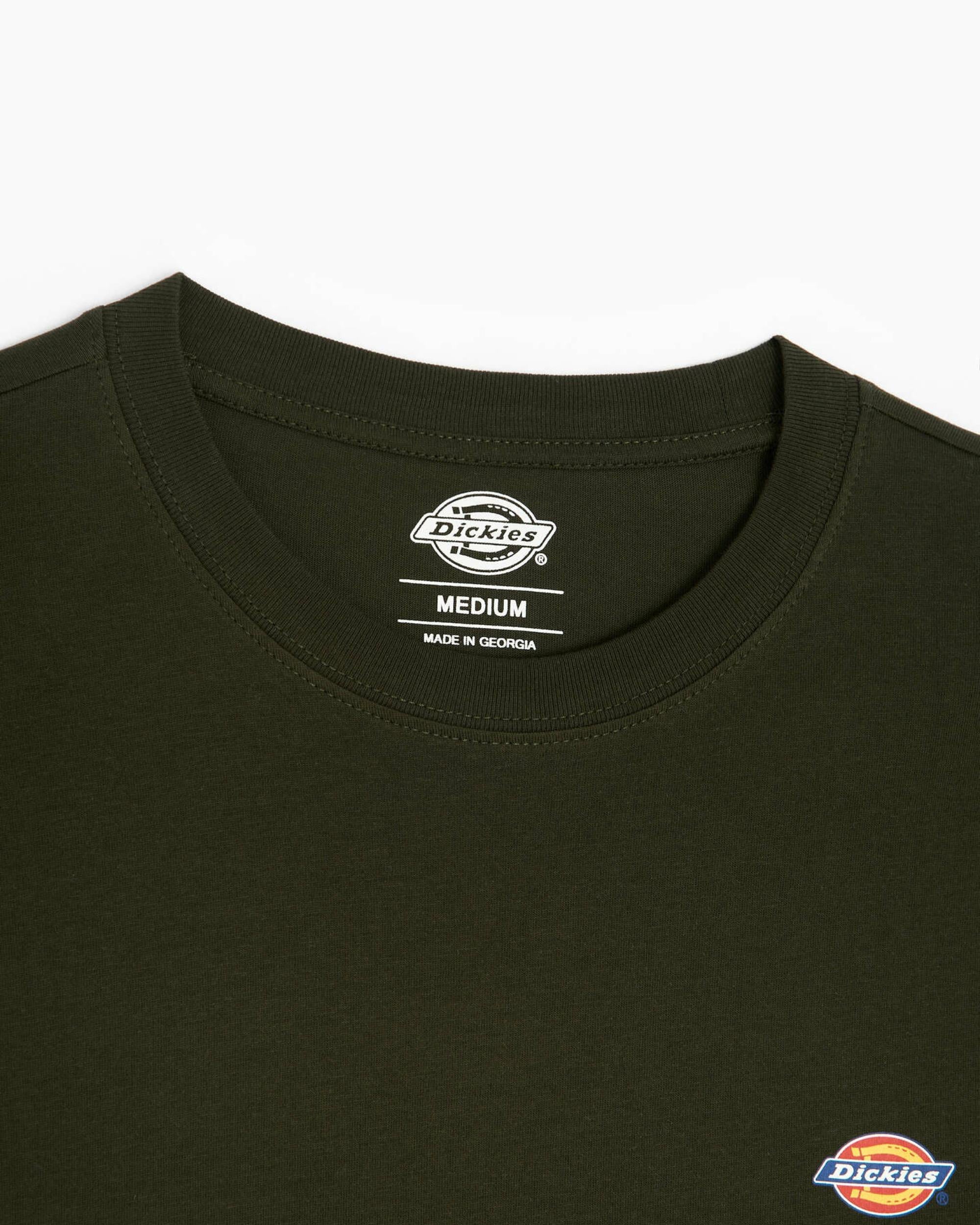 SS MAPLETON T-SHIRT BLACK DK0A4XDB OGX1 DICKIES 