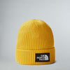 Salty Lined Beanie