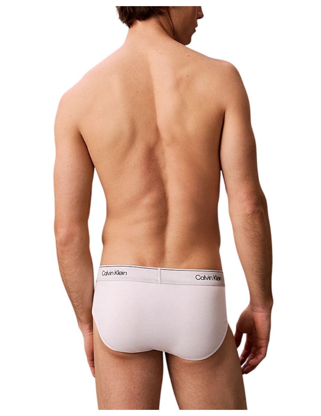 Hip Brief 3pk Slip Calvin Klein LV00NB4574 4XK CALVIN KLEIN 